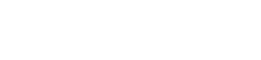 Wetland Studies and Solutions, Inc logo