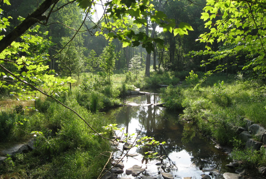 Northern Virginia Stream Restoration Bank After