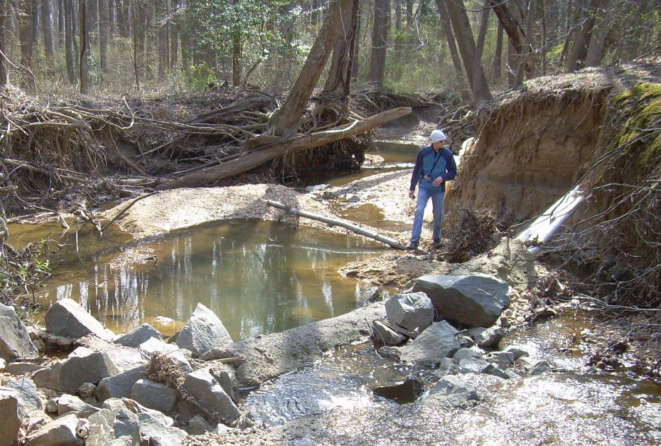 Northern Virginia Stream Restoration Bank before