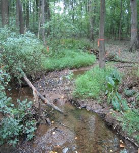 Unnamed Maryland perennial tributary