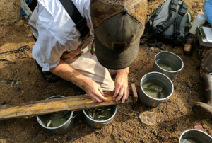 WSSI staff led a Nottoway River survey for Roanoke logperch and other fish in 2017.